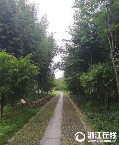 微信图片_20190724113314.jpg 微信图片_20190724113314.jpg