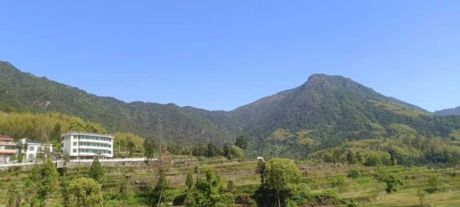 陈宅七星村 实景图3