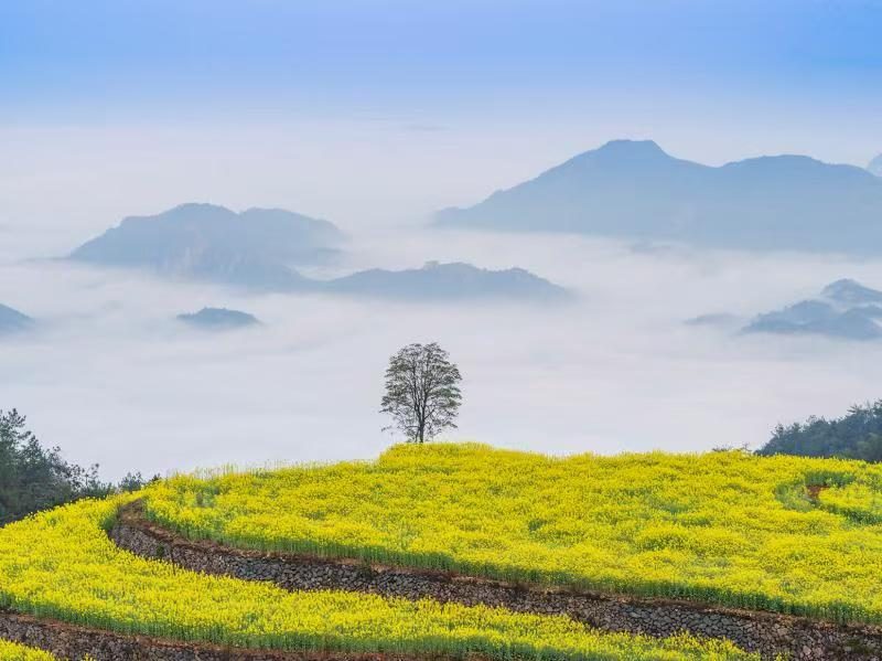 大佑云天度假区 实景图4