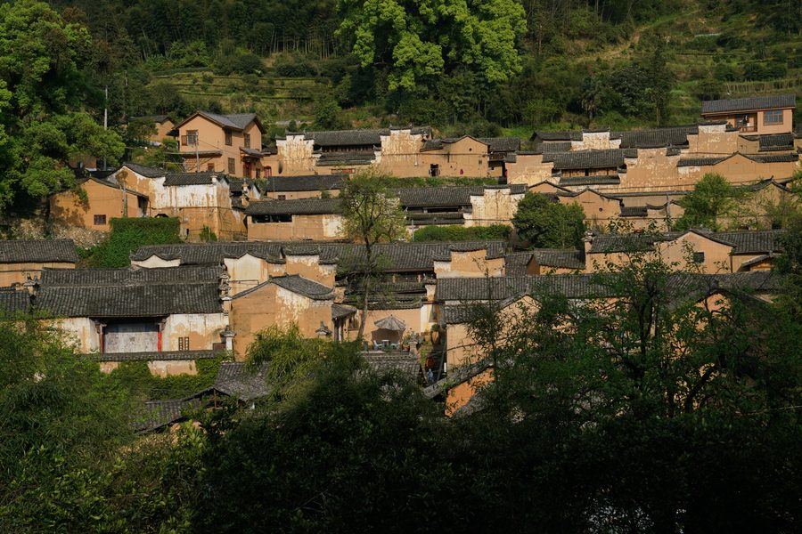 松阳古村落群(陈家铺、杨家堂等) 实景图4