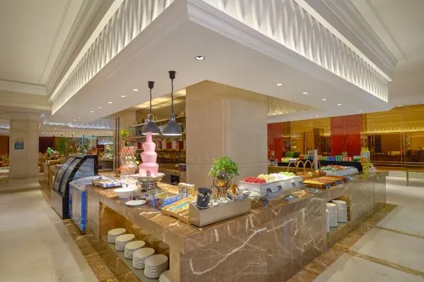丽水东方文廷酒店 实景图4