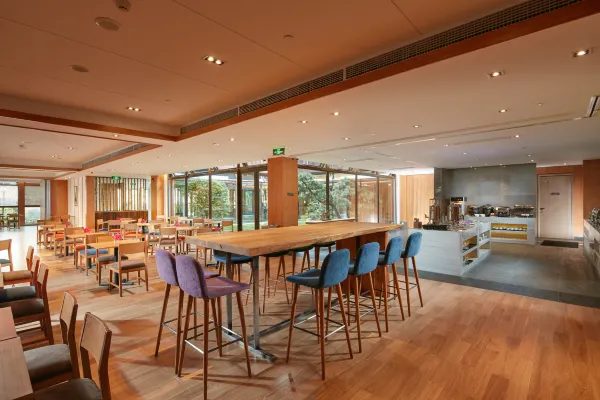 丽水智选假日酒店 实景图2