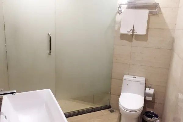 庆元县菇城大酒店 实景图6