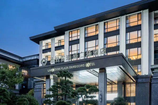 遂昌汤公雷迪森广场酒店 实景图2