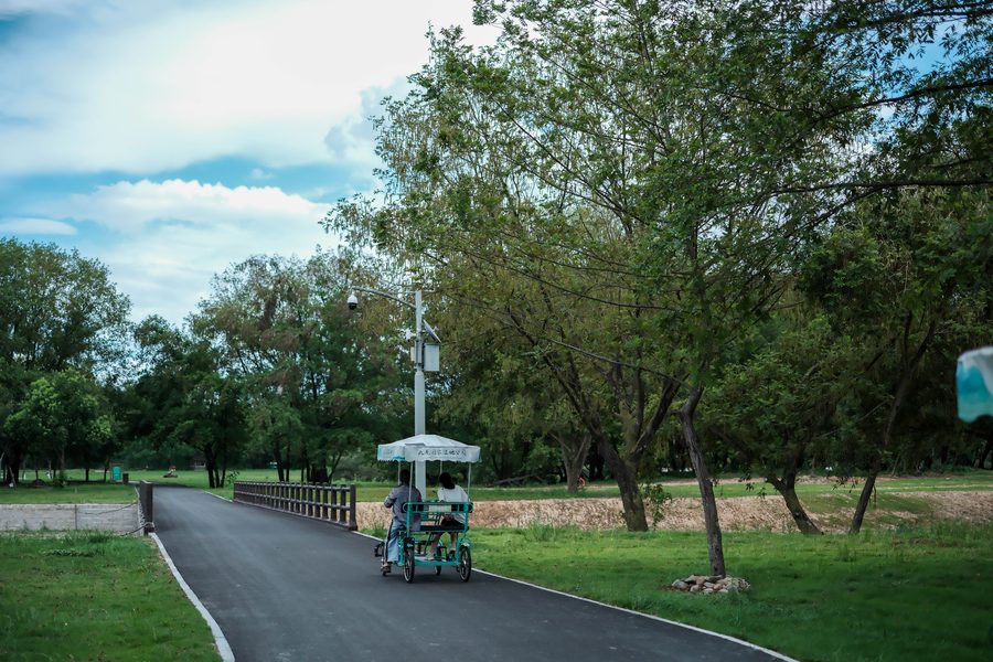 九龙国家湿地公园 实景图4