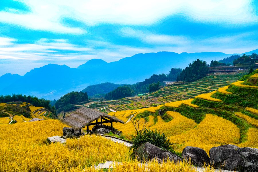 云和梯田景区 实景图3
