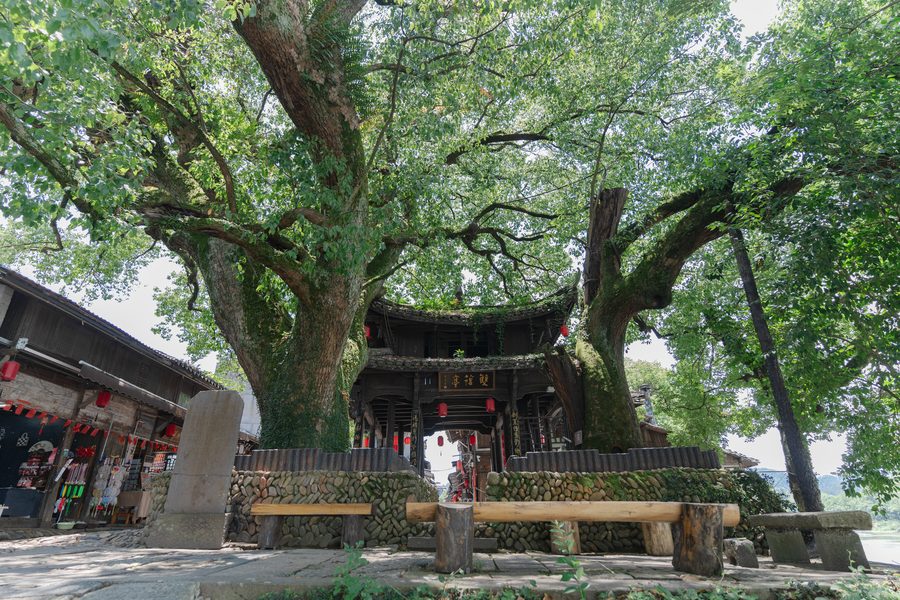 古堰画乡景区 实景图4