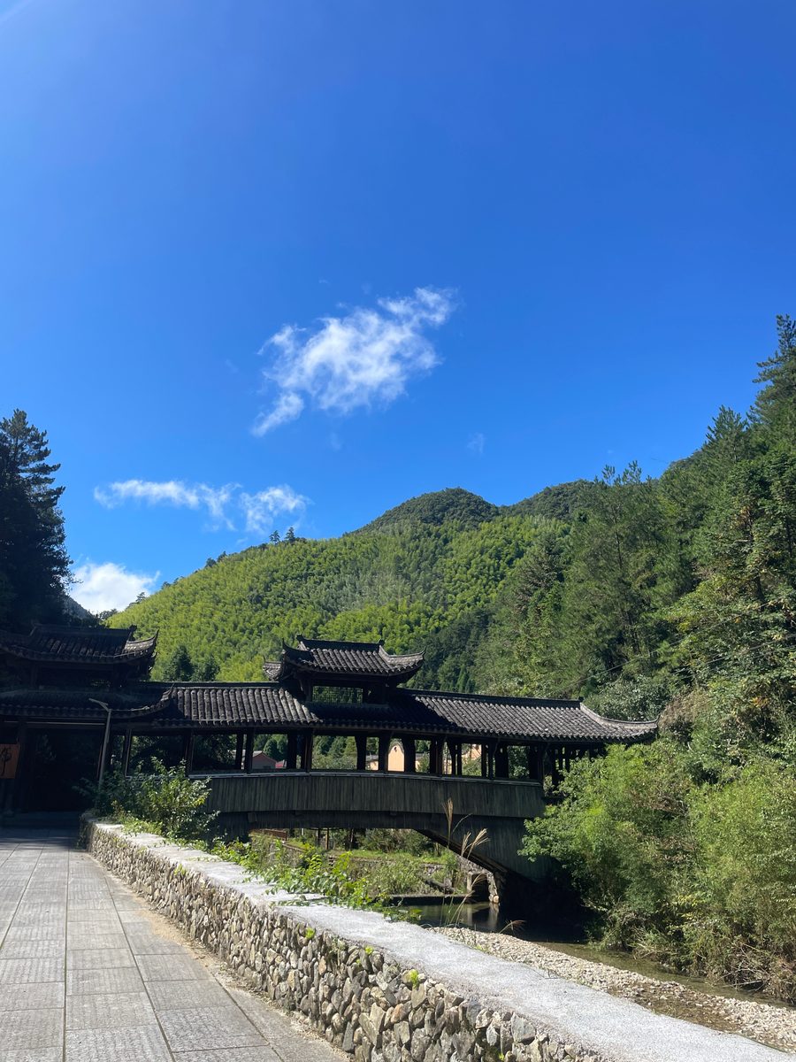 百山祖景区 实景图3