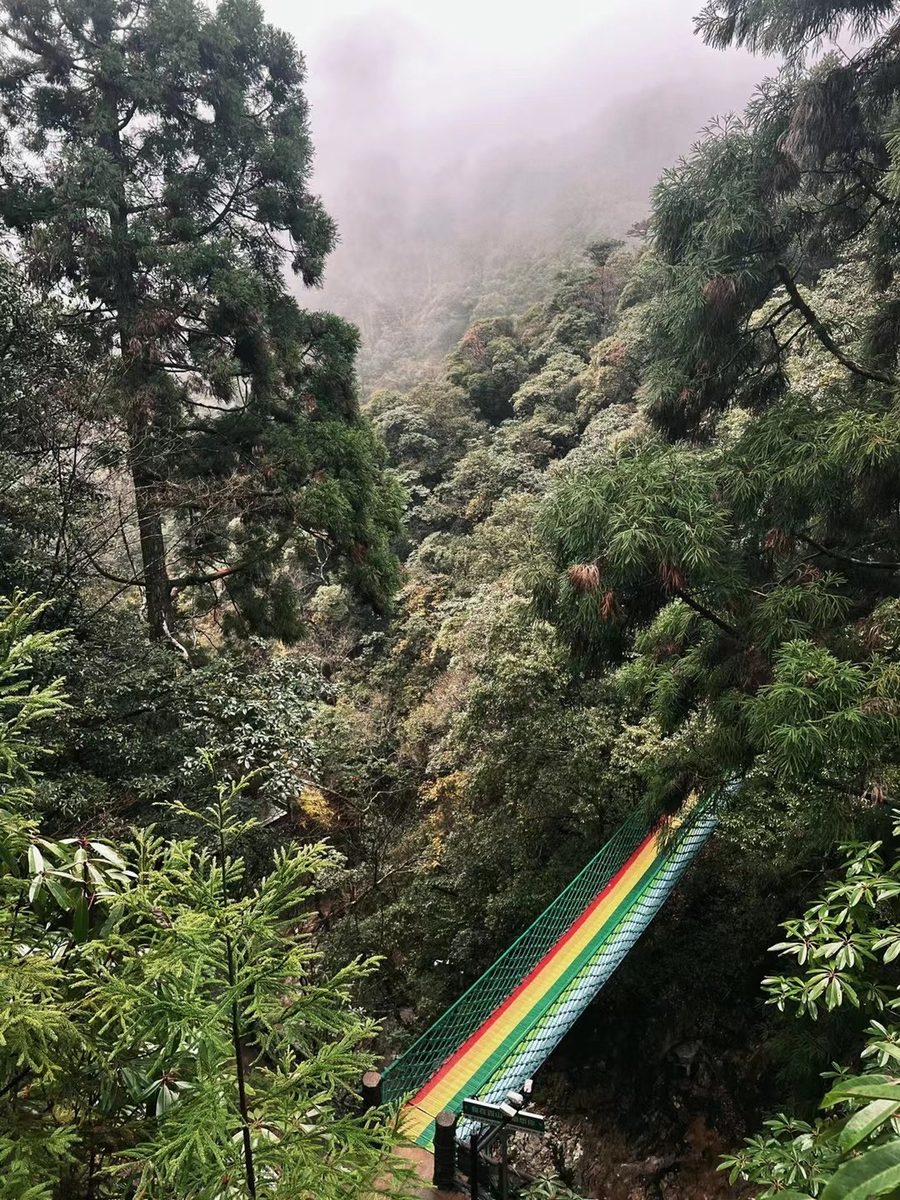 百山祖景区 实景图5