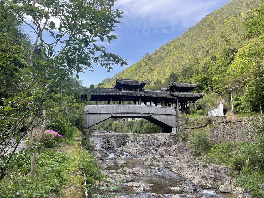 百山祖景区 实景图7