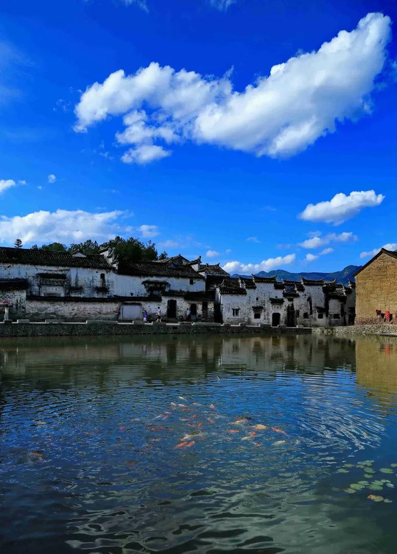 河阳古民居景区 实景图7