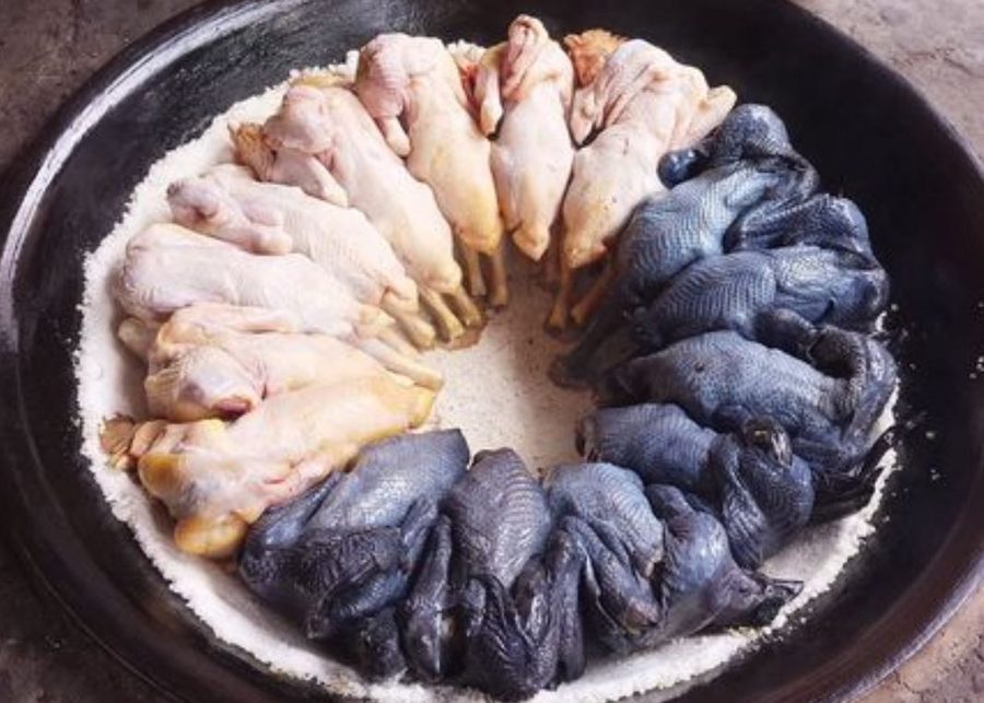 松阳煨盐鸡 实景图3
