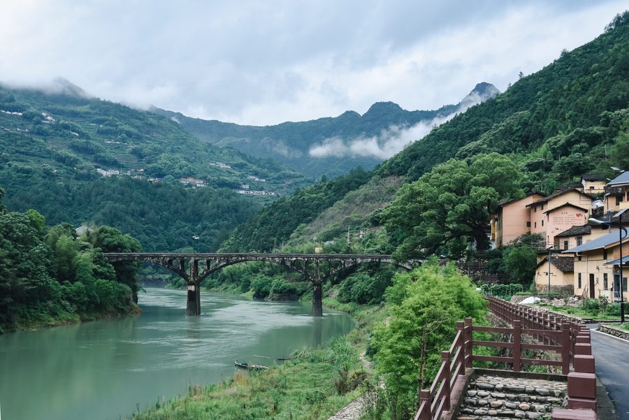 遂昌县·焦滩鱼头 实景图3