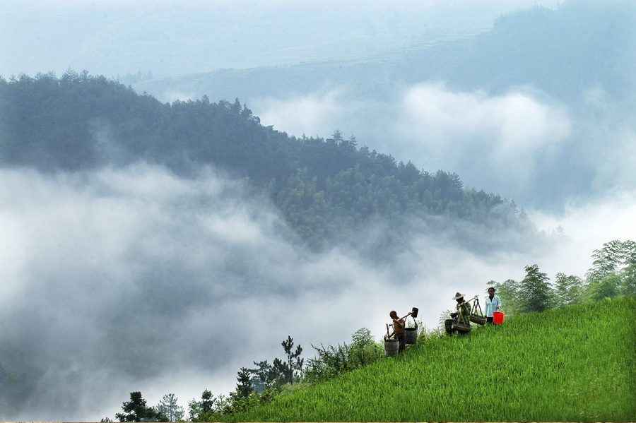高坪乡高山避暑民宿群 实景图4