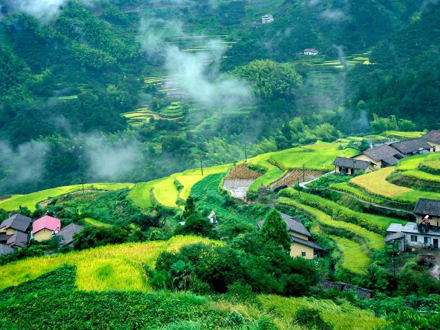 高坪乡高山避暑民宿群 实景图7