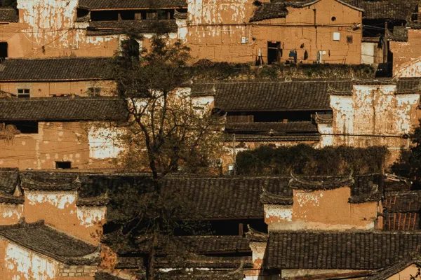 有明堂民宿 实景图3
