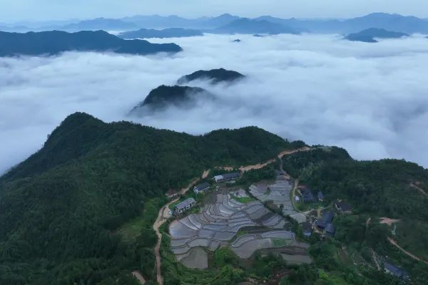 稻田民宿 实景图2