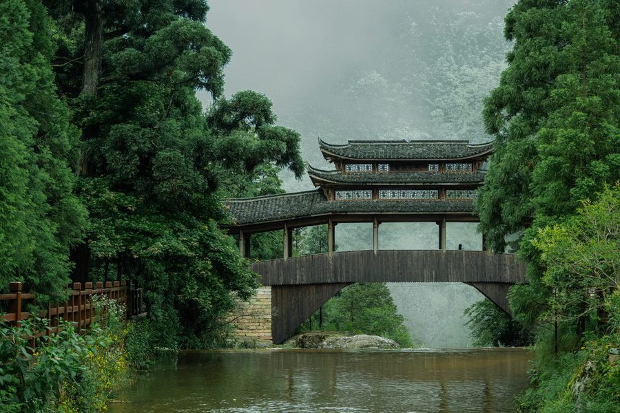 景宁畲族自治县大漈乡大漈村 实景图2