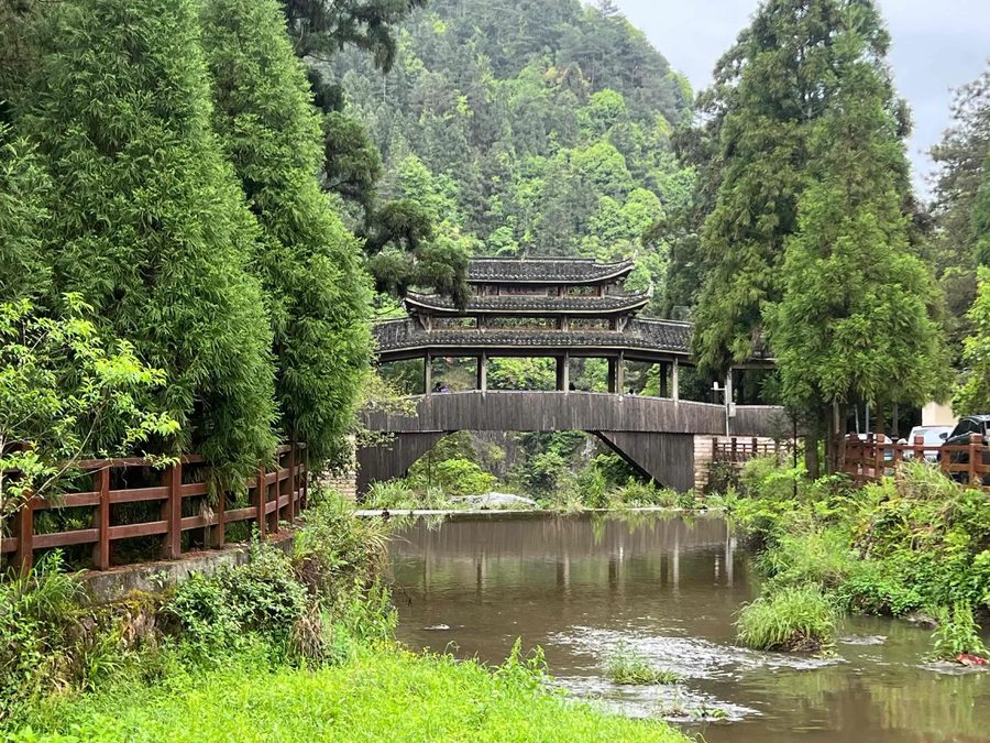 景宁畲族自治县大漈乡大漈村 实景图4