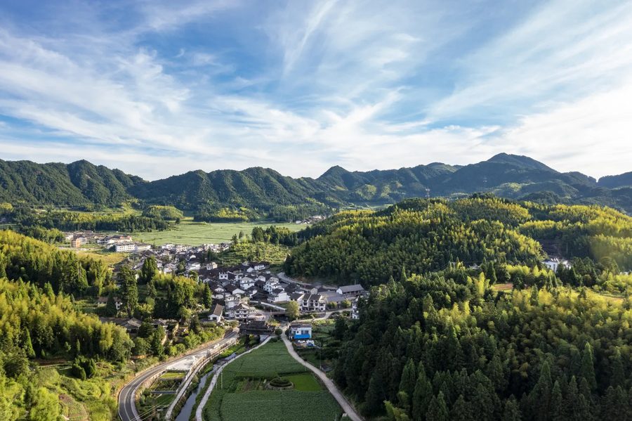 景宁畲族自治县大漈乡大漈村 实景图5