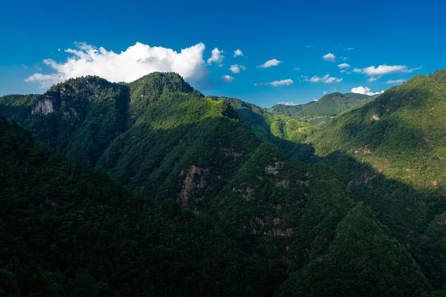 景宁畲族自治县大漈乡大漈村 实景图7