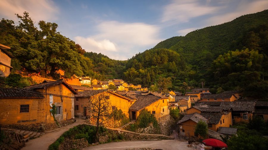 松阳县四都乡塘后村 实景图2