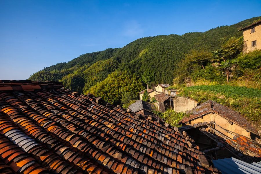 松阳县四都乡塘后村 实景图5