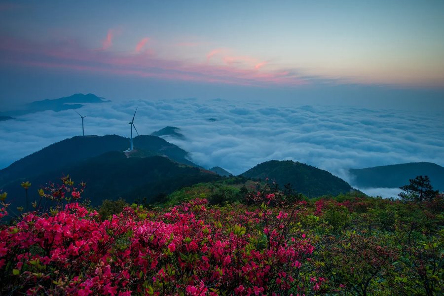 云和县崇头镇白鹤尖星空 实景图4