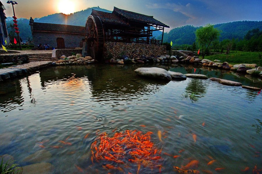 龙泉宝溪乡溪头村 实景图3