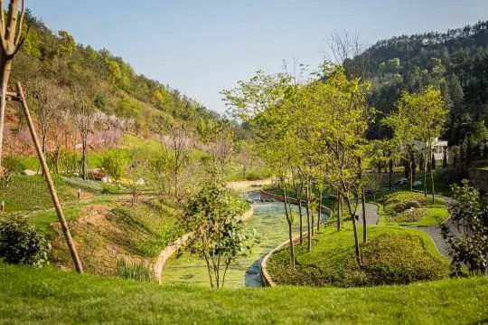 华东药用植物园 实景图3
