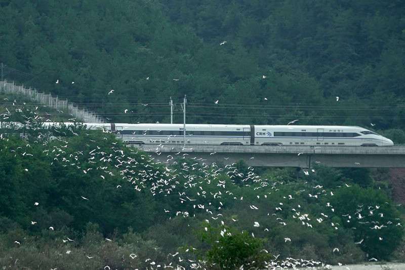 w020221114633126615642_副本.jpg